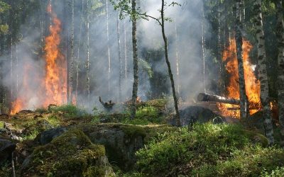 Die Feuerwehr informiert